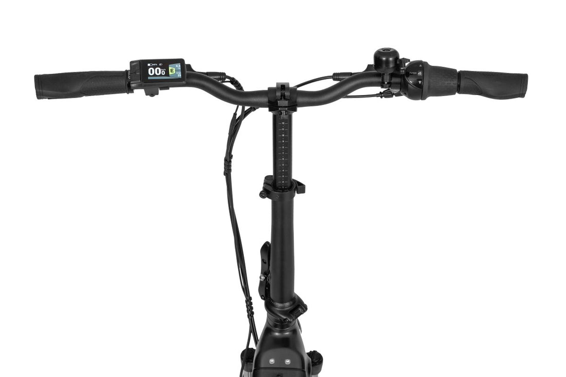 Ecobike Bicileta plegable Rhino Cruise Black