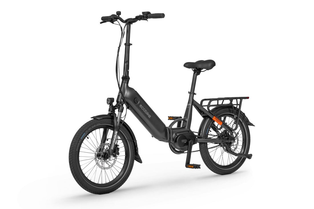 Ecobike Bicileta plegable Rhino Cruise Black