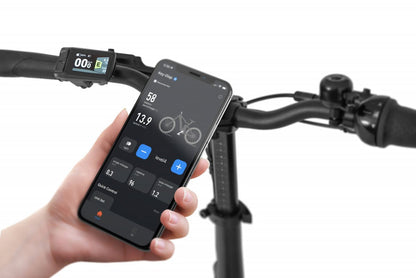 Ecobike Bicileta plegable Rhino Cruise Black