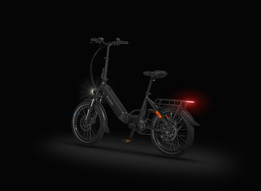 Ecobike Bicileta plegable Rhino Cruise Black