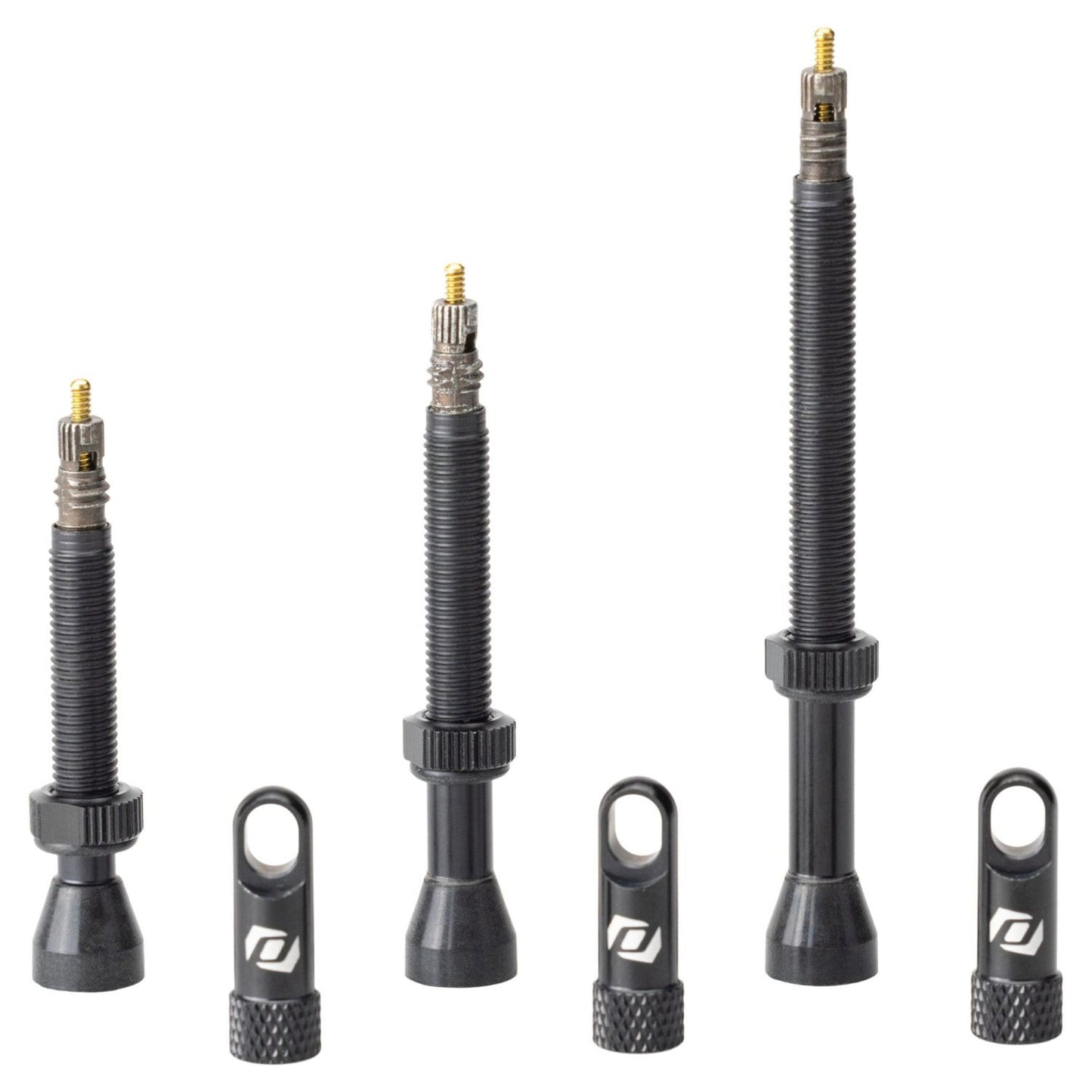Scott Valvula Tubeless Negro